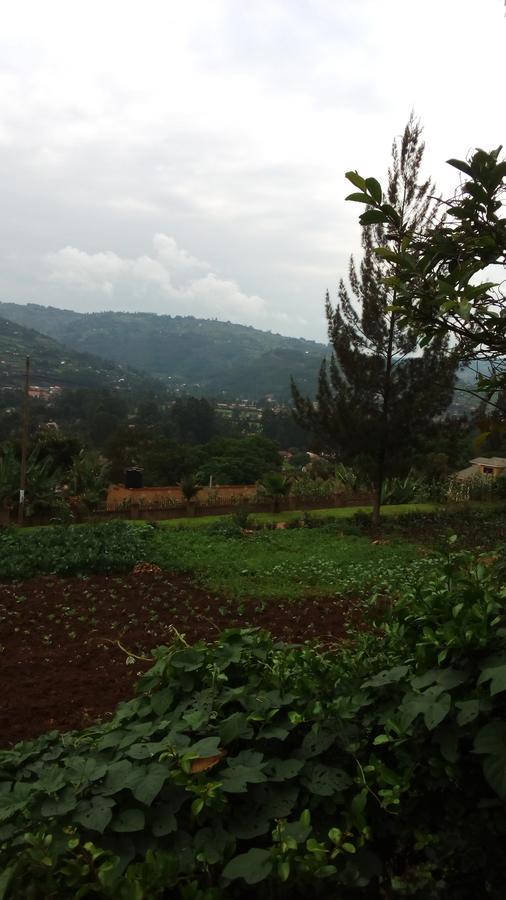 White Horse Inn Kabale Exteriér fotografie